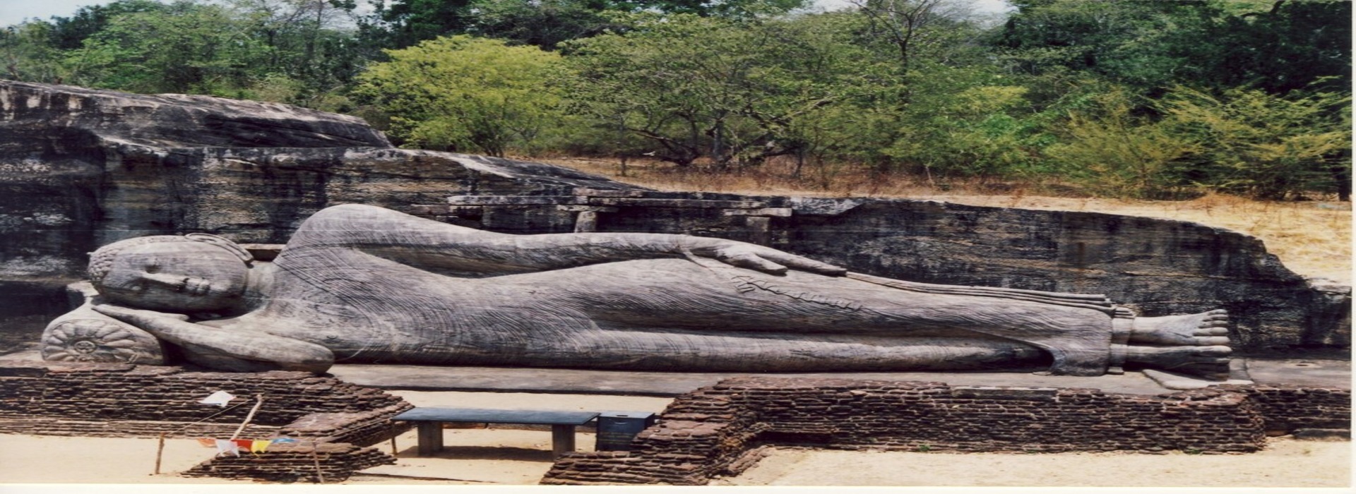 Image Description